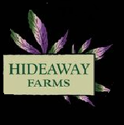 Hideaway Logo